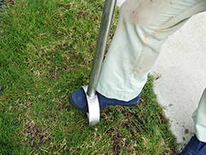 芝生のお手入れ